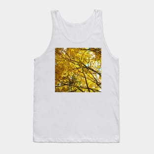 Colorado Aspen Trees in Fall Tank Top